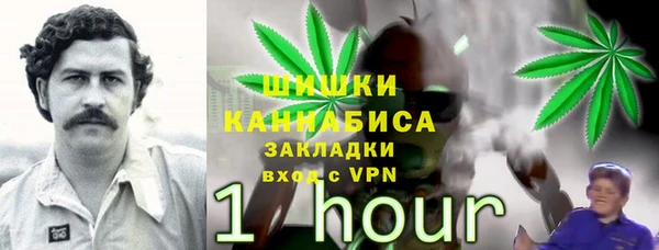 винт Алексин