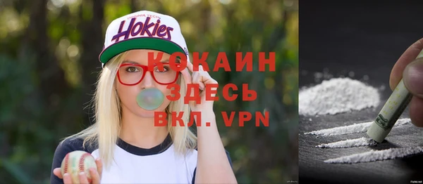 винт Алексин