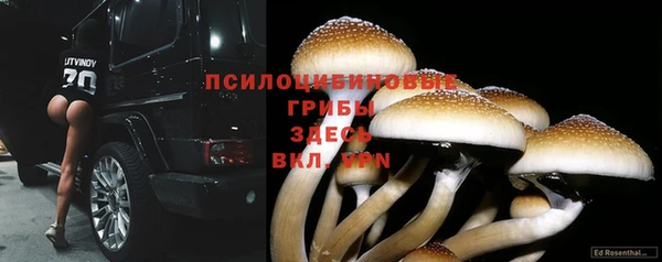 винт Алексин