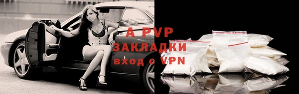 сатива Алексеевка