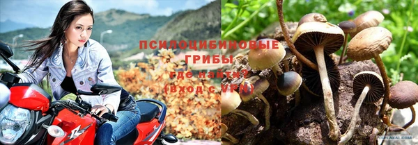сатива Алексеевка