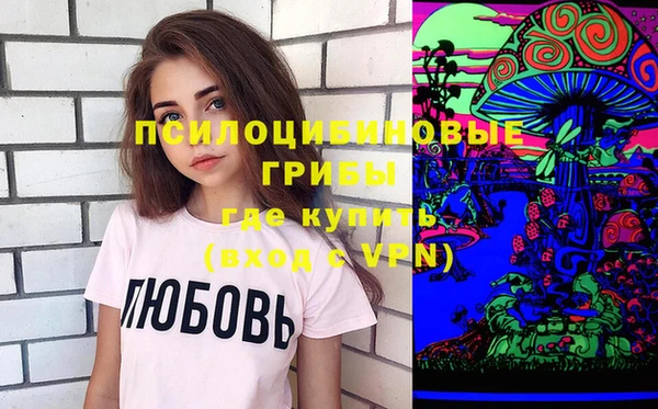 сатива Алексеевка