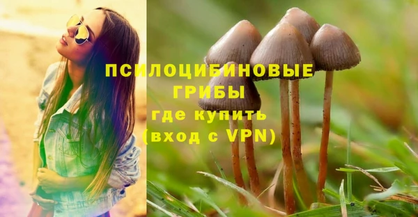 винт Алексин