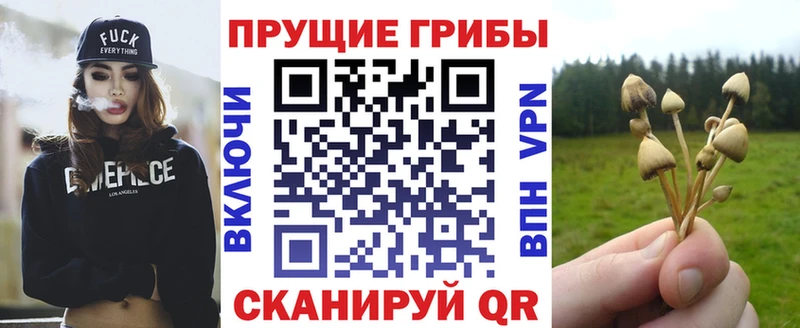 цены Артёмовск Галлюциногенные грибы MAGIC MUSHROOMS